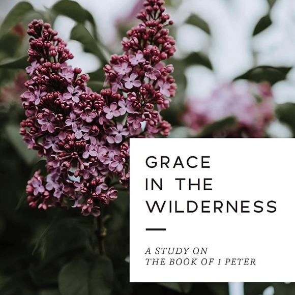 Daily Grace Co Bible Study Bundle (2 Bible Studies) - Picture 1 of 6